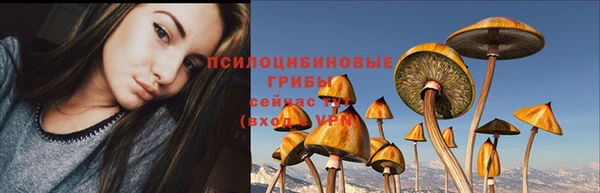 прущие крисы Каменск-Шахтинский