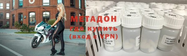 индика Каменногорск