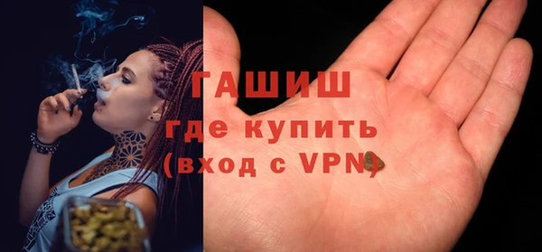 индика Каменногорск