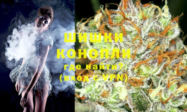 индика Каменногорск