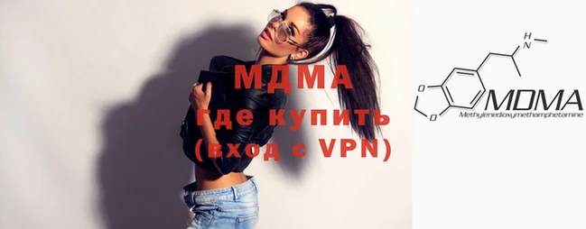 индика Каменногорск