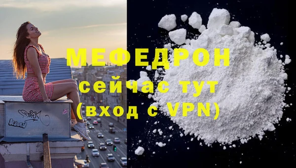 индика Каменногорск