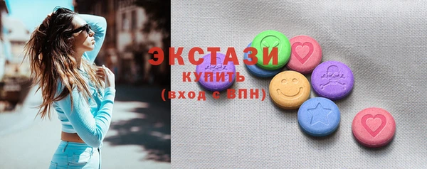 индика Каменногорск