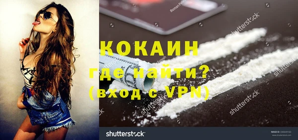 индика Каменногорск