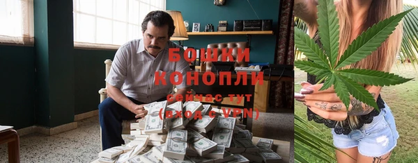 индика Каменногорск
