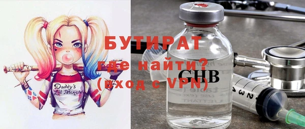 индика Каменногорск