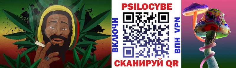 Галлюциногенные грибы Magic Shrooms Дно