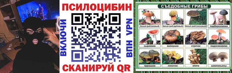 Купить закладки  Дно  Псилоцибиновые грибы мухоморы 